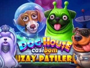 Dog House Casibom - Uzay Patileri